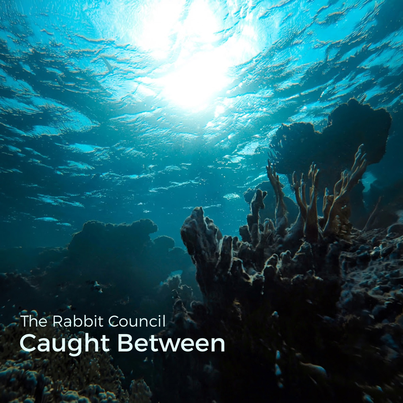 The Rabbit Council - Caught Between cover artwork. An image of a coral reef from underwater.