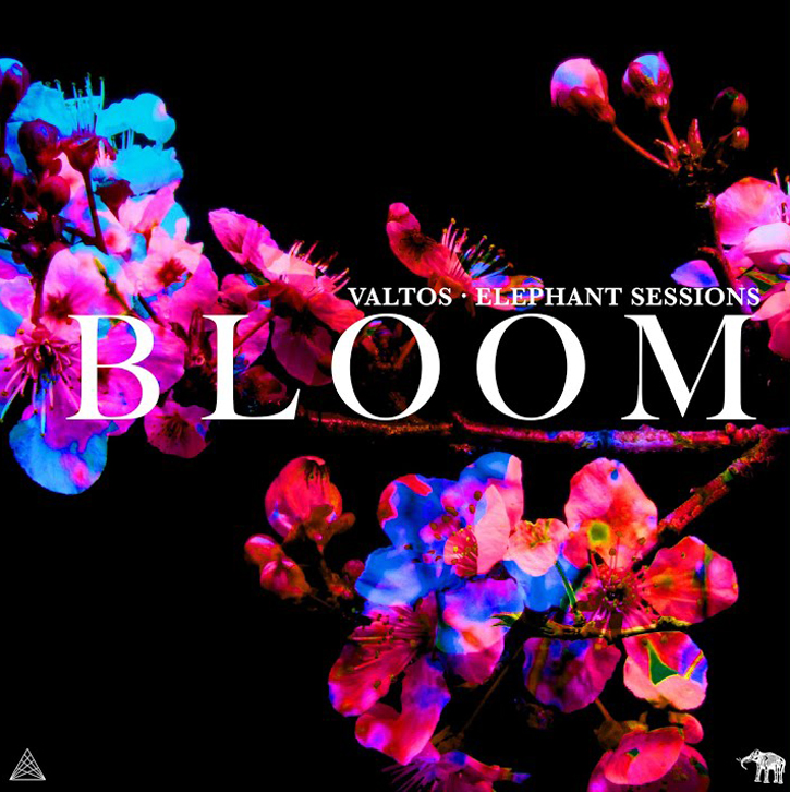 The single cover for Bloom by Valtos & Elephant Sessions features neon-toned cherry blossoms in shades of pink, blue, and purple set against a stark black background. The title “Bloom” is centered in white serif type, with the artists' names subtly placed above it.