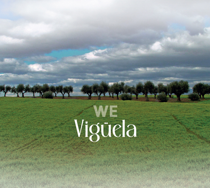 Vigüela · We cover artwork. A photo of a green field with distant trees and cloudy skies.