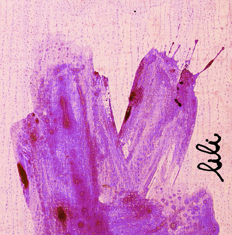 The single cover for Lili features a violet brushstroke on a soft pink textured background. The handwritten title “lili” in black in the lower right corner.