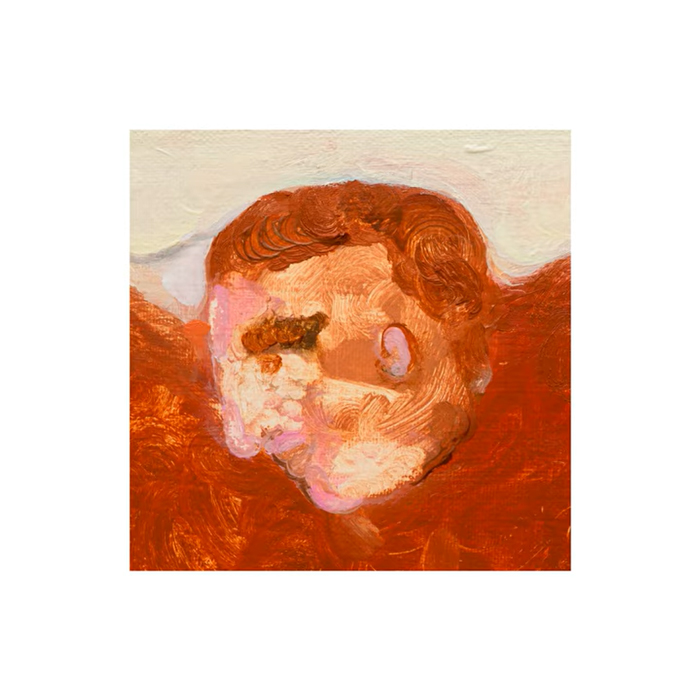 The cover shows an abstract portrait of a person with a reddish-brown head emerging from a field of thick brushstrokes in similar tones. The facial features appear distorted, with a heavy brow and ear rendered in rough paint, while pale pink highlights catch the light.