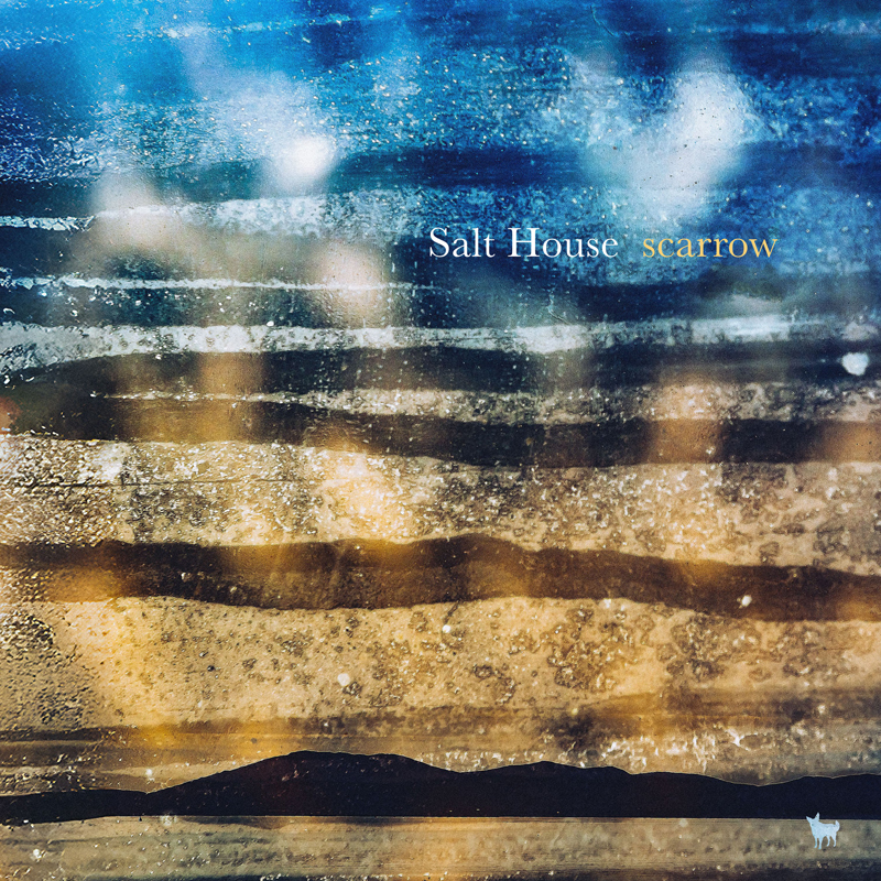 The cover for Scarrow by Salt House presents a weathered landscape where blurred streaks of blue, gold, and brown drift across the frame like layered horizons. A dark, low ridge anchors the bottom edge, and a small white animal silhouette stands near the corner.